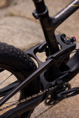 Mountainbike LIV Pique Advanced 29 1, Raw Carbon