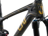 Mountainbike LIV Pique Advanced 29 1, Raw Carbon