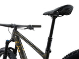 Mountainbike LIV Pique Advanced 29 1, Raw Carbon