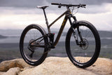 Mountainbike LIV Pique Advanced 29 1, Raw Carbon