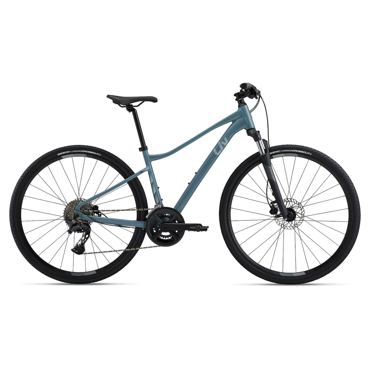 LIV Rove 2 Women's Bike, Storm Cloud
